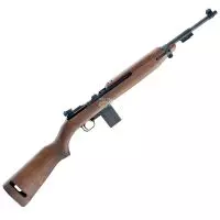 CARABINA CHIAPPA M1-22 .22