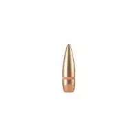MUNIÇÃO CBC .308 ETPT 162GR